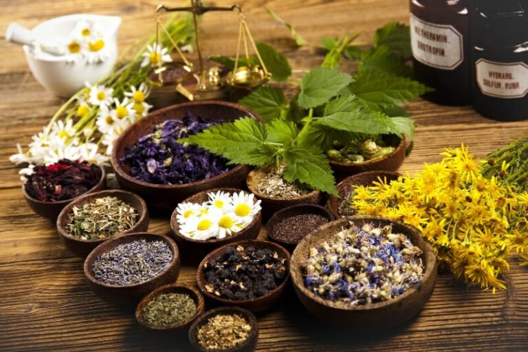 8 Reasons Why You Need To Visit The Best Naturopath Melbourne